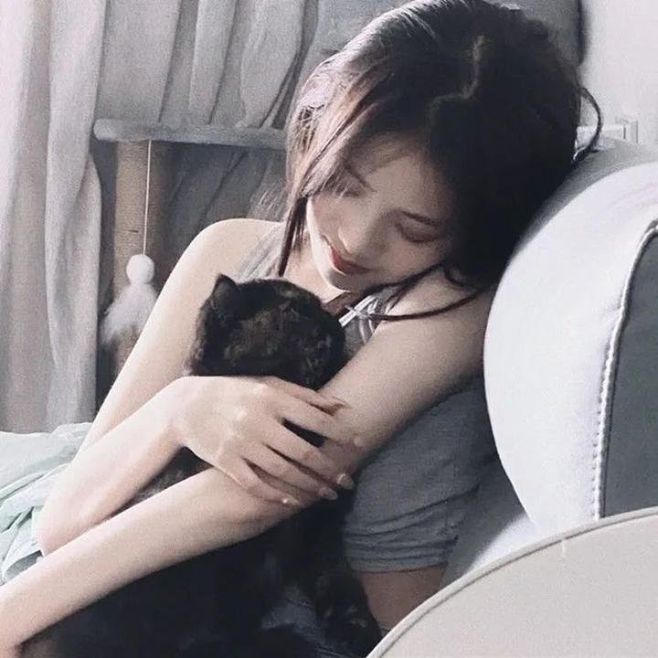 铜雀台 在线观看